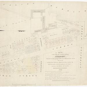 Plan of the late Mr. J. Dickson's grant, Sydney [cartog...