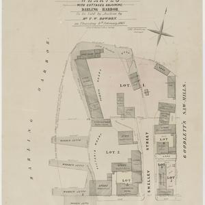 Plan of the Phoenix & Victoria Wharves with cottages ad...