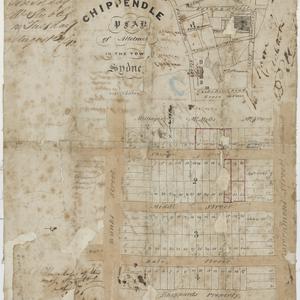 Chippendale [cartographic material] : plan of allotment...