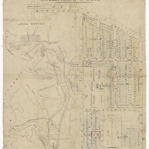 Plan of Burwood House and grounds, & 246 allotments of land [cartographic material].