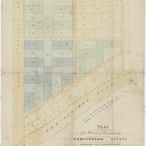 Plan of a portion of the valuable Camperdown Estate sub...