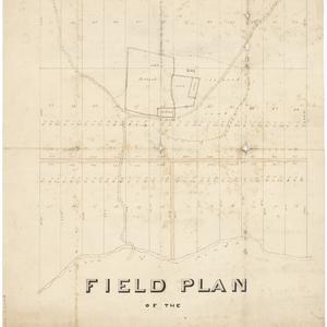 Field plan of the Kingsgrove Homestead [cartographic ma...