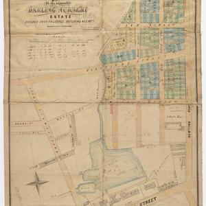 Plan of the celebrated Darling Nursery Estate divided i...