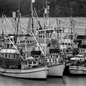 Item 06: 20 Fishing boats, Ulladulla, NSW, 1970 / photo...