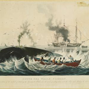 South Sea Whale Fishery No. 1 and 2, 1835 / painted by ...
