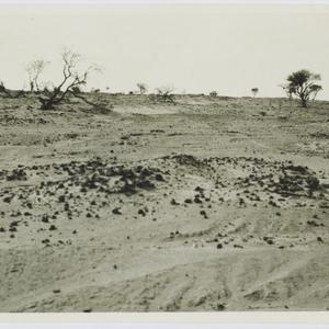 Album 12: Photographs of Aboriginal archaeological site...