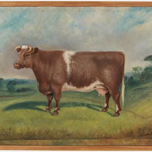 'Clifton Summerton 3rd', 1919 / Edwin Woodhouse