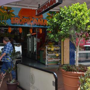 Item 059: Tropicana, Keen Street, Lismore, NSW, 5 Novem...