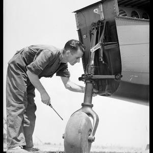 New Lockheeds at RAAF Richmond, 8 February 1940 / photo...