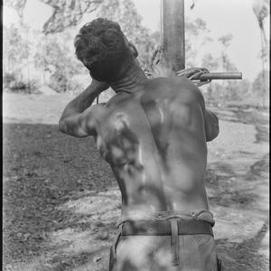 File 03: Darwin, house and personalities [ca 1942-1943]...