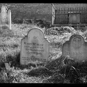 Series 02: Glass negatives of headstones in Devonshire Street Cemetery, Sydney, and other cemeteries, ca. 1900-1914 / Mrs. Arthur George Foster