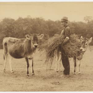 Photographs taken in Australia and New Zealand / Walter...