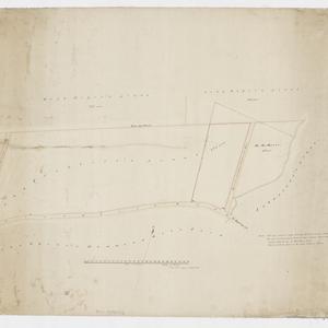 [Manuscript map of land grants along Parramatta Road, P...