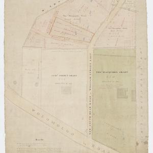 [Manuscript map of land grants near Woolloomooloo] [car...