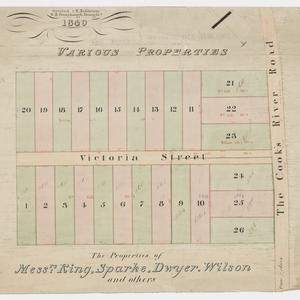The Victoria allotments, Newtown [cartographic material...
