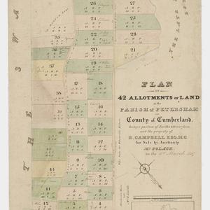 Plan of 42 allotments of land in the parish of Petersha...