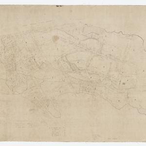 [Cadastral manuscript map of allotments and land grants...