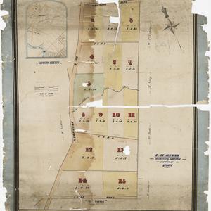 [Sale of portion of Sydenham Farms] [cartographic mater...