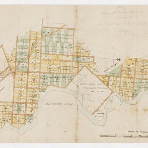 Plan shewing suburban allotments annexed to the "Church...