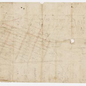 [Manuscript cadastral map of allotments along Old South...