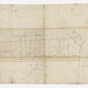 [Rough plan of Long's allotments in Jamison Street, sec...