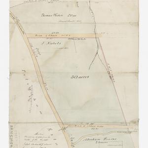 [Manuscript cadastral map of Leichhardt, Parish of Pete...