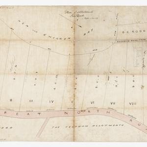 Plan of Allotments, Five Dock [cartographic material] /...
