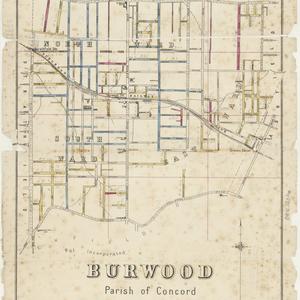 Burwood [cartographic material]. : parish of Concord / lithographed & published by Higinbotham & Robinson.