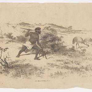 Native sneaking emu, 1854-1855 / Samuel Thomas Gill
