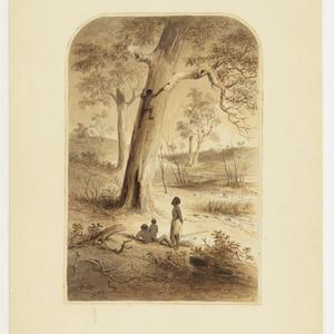 Natives opossum hunting, ca. 1860 / Samuel Thomas Gill