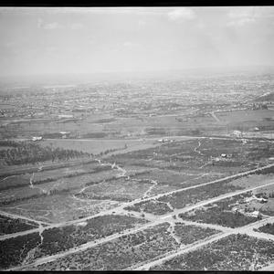 Item 02: Milton Kent aerial views of Sydney, ca. 1923