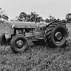 Fordson Super Dexta tractor at the State Hospital (?), ...