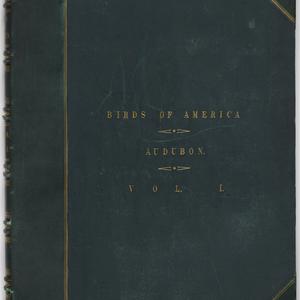 The birds of America : from original drawings / by John...