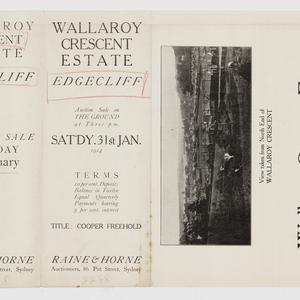 [Edgecliff subdivision plans] [cartographic material]