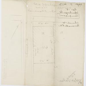 [Camperdown subdivision plans] [cartographic material]