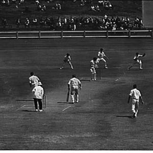 Sheffield Shield Cricket 1963, Sydney Cricket Ground