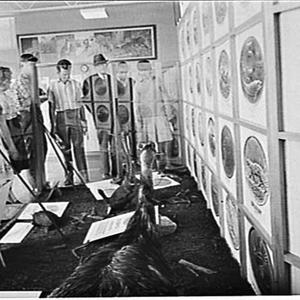 Rural Bank exhibit of decimal coins and the animals on ...