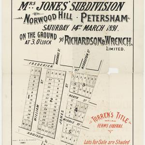 [Petersham subdivision plans] [cartographic material]