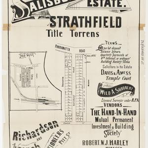 [Strathfield and Burwood subdivision plans] [cartographic material]