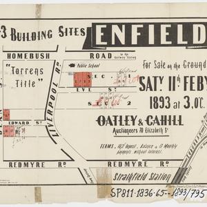[Strathfield and Burwood subdivision plans] [cartographic material]