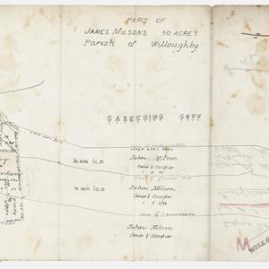 [St Leonards subdivision plans] [cartographic material]