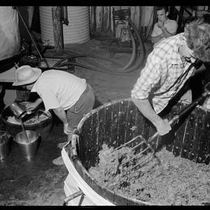 Wine making. Hunter Valley, February 1965 / photographs...