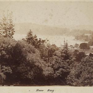 Picturesque New South Wales, [ca. 189-?] / Kerry & Co.,...