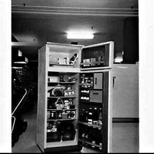 Refrigerator, David Jones George Street store, Sydney
