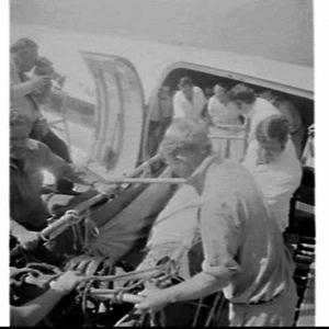Whale arrives on Airlines of NSW and is transferred to ...