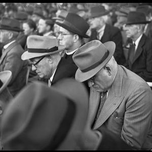 Horse Sales at Newmarket / photographed by B. Rice
