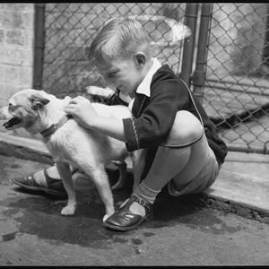 Dogs home series. RSPCA Home / photographed by R. Horne...