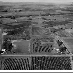 Aerial photographs of Leeton and surrounds on Murrumbid...