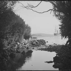 Q310: At anchor in Auckland Islands / F. J. Gillies