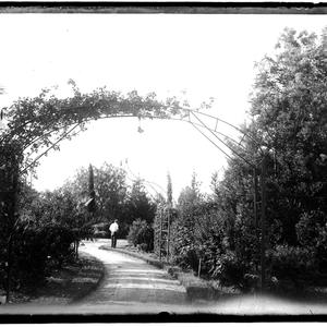 Series 03: [Hawkesbury Agricultural College : buildings...